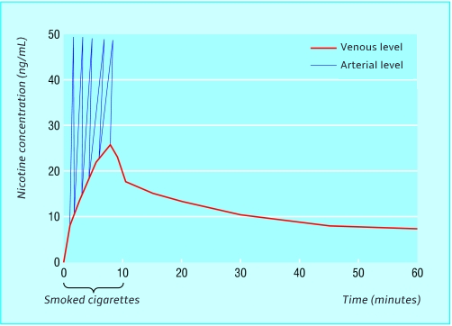 Diagram of arterial and venous nicotine levels